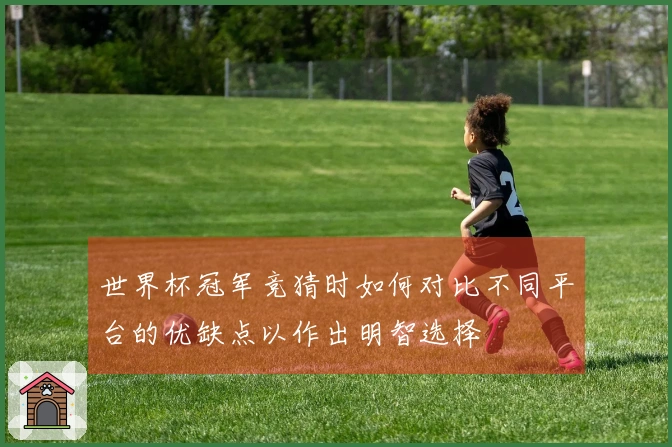 世界杯冠军竞猜时如何对比不同平台的优缺点以作出明智选择