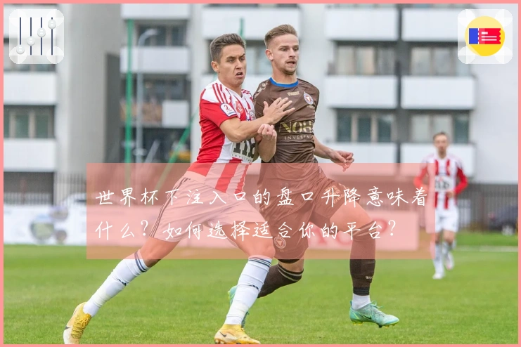 世界杯下注入口的盘口升降意味着什么？如何选择适合你的平台？