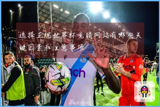 选择正规世界杯竞猜网站有哪些关键因素和注意事项